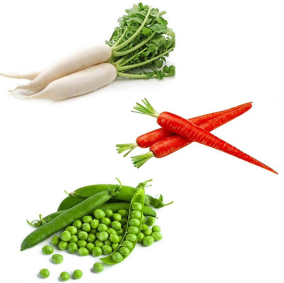 PSAgroinput Mooli(Radish)-Gajar(Carrot)-Matar(Green Peas) pack of 3 Seed(100 g)
