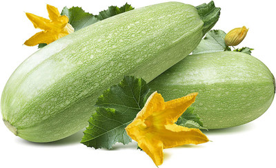 CYBEXIS HUA-82 - Summer Squash Zucchini Grey - (225 Seeds) Seed(225 per packet)
