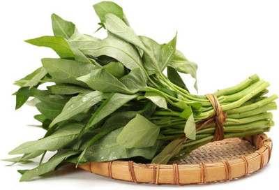 CYBEXIS PAU-45 - Water Spinach - (250 Seeds) Seed(250 per packet)