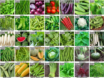Agrey combo of 35 variety vegetable seeds with instruction manual. Seed(35 per packet)