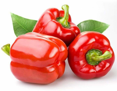 VibeX XLR-57 - Capsicum/bellpepper Red Wonder - (1350 Seeds) Seed(1350 per packet)