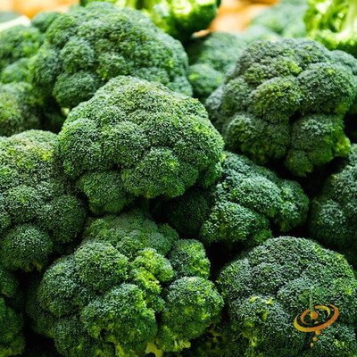 KNESSiN Broccoli Seed(1250 per packet)