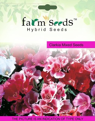 CYBEXIS SEEDS Clarkia Mixed Seed(50 per packet)