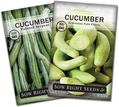 Qualtivate AXL-1AT Armenian Pale Green & Painted Serpent Cucumbers Seed(300 per packet)