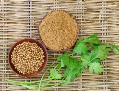 CEZIUS हरा धनिया Cilantro (Coriander)-a9C Seed(190 per packet)