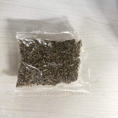 KNESSiN Carrot Ginseng Seed(2500 per packet)