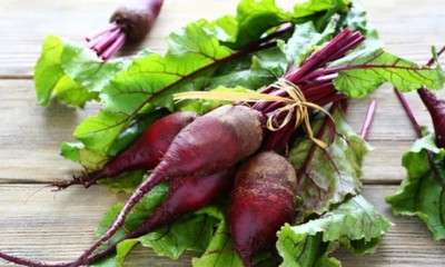 WINR Beetroot 'Cylindra' Seed(150 per packet)