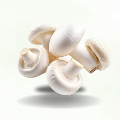 grenfel White Button Mushroom Spawn Seeds (400g) Co2 mushroom seeds suitable for growing Seed(401 g)