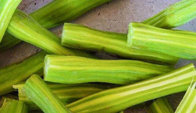 Qualtivate GBPT-2A Wingless Moringa Drumstick Seeds Seed(50 per packet)