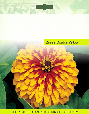 CYBEXIS Zinnia Double Yellow Seeds Seed(1 g)