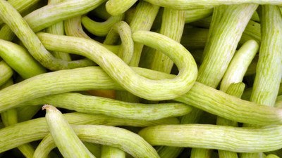 CYBEXIS NBIR-59 - Desi Kakri Long Melon - (1350 Seeds) Seed(1350 per packet)
