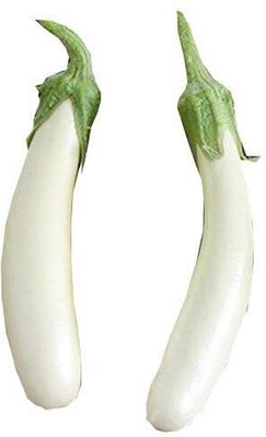 Aywal White Long Begun Seed(60 per packet)