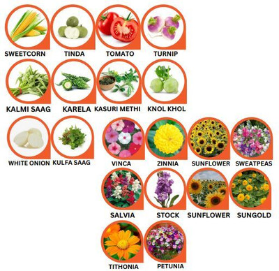 Hothanger Organic & Hybrid Vegetable + Flower Seeds | Home Gardening Kit for Pots, Terrace Seed(100 per packet)