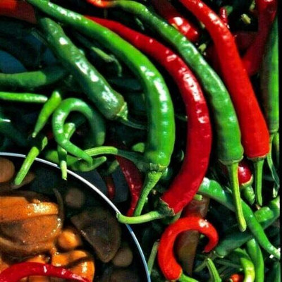 KNESSiN Hot Chilli Pepper Cayenne Seed(200 per packet)