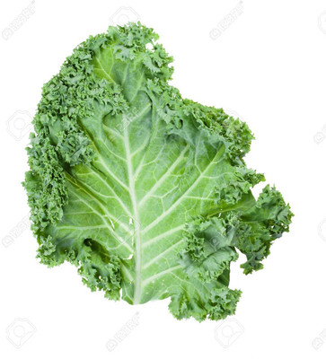 KNESSiN Kale Leaf Cabbage Seed(1250 per packet)