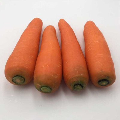 Quentova Orange Carrot (Gajar)-22S-HQL Seed(200 per packet)