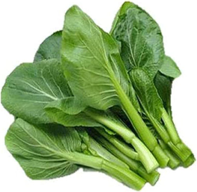 CYBEXIS F1 Hybrid Choy Sum Seeds1000 Seeds Seed(1000 per packet)
