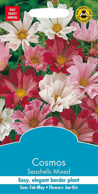 CYBEXIS Cosmos Seashells Mixed Seed(50 per packet)