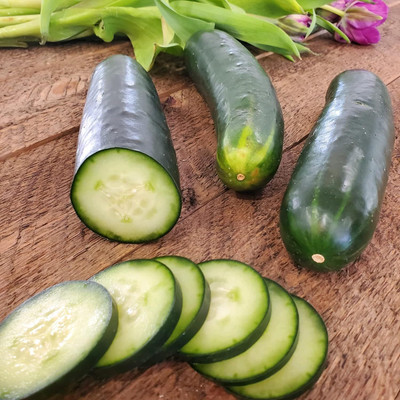 Qualtivate PUA-9A Straight Eight American Cucumber Seeds Seed(300 per packet)
