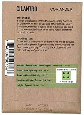 CYBEXIS Non-GMO Culinary Herb Seed Packet:Slow Bolt Cilantro700 Seeds Seed(700 per packet)