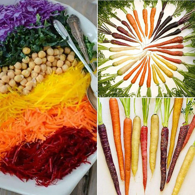 CYBEXIS Rainbow Carrot Seeds 4000 Seeds Seed(4000 per packet)