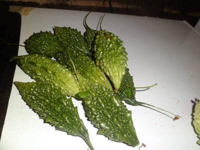 VibeX XL-97 - Karela Bitter Gourd (Small Fruited Mixed) - (900 Seeds) Seed(900 per packet)