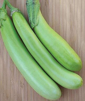 Aywal Begun Seed(50 per packet)