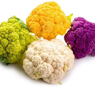 WILLVINE ROX -IV MIXED COLOR CAULIFLOWER F1 HYBRID [1g, 300 Seeds] Seed(300 per packet)