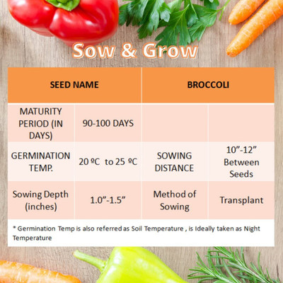 WILLVINE NDIR-750 Romanesco Broccoli Seed Seed(200 per packet)