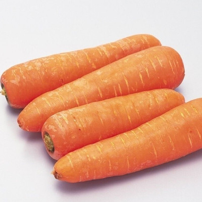 Quentova नारंगी गाजर Orange Carrot-11G-US Seed(200 per packet)