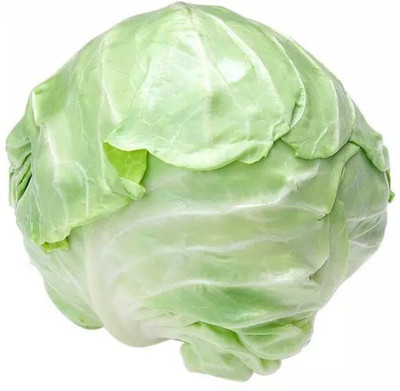 Avysa Green Cabbage (पत्ता गोभी के बीज) Seed(100 per packet)