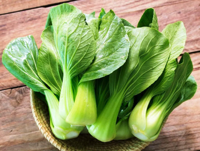 WILLVINE VNR -IX Chinese Cabbage Bok Choy [50g] Seed(15000 per packet)