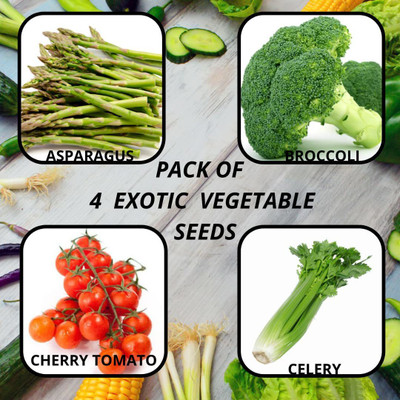 CYBEXIS 4 Exotic Vegetable Seeds Seed(10 g)