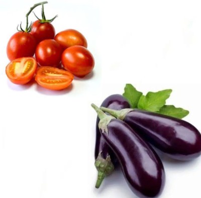 Garden Basket Hubb Tomato and Brinjal Vegetable Seed(100 g)