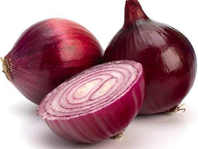 CYBEXIS Hybrid Red Onion Seeds1000 Seeds Seed(1000 per packet)