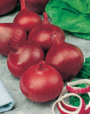 Biosnyg Fast Growing Onion Red Baron Seeds For Kitchen Gardening-(750 Seeds) Seed(750 per packet)