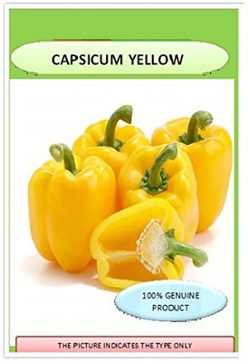 CYBEXIS Capsicum Yellow Hybrid Seeds400 Seeds Seed(400 per packet)