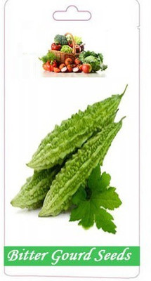 VibeX ® VMR-326 Hybrid Bitter Gourd (Karela) Seeds Seed(50 per packet)