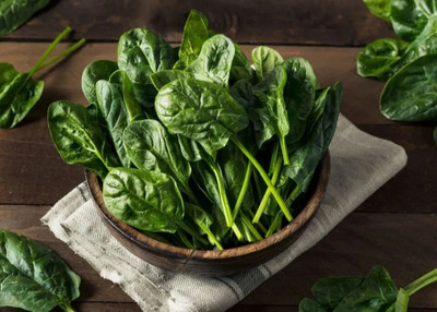 MYLAWN Palak Spinach/पालक के बीज Seed(800 per packet)
