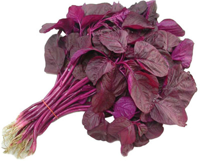 URRO Amaranthus Red Seed(500 per packet)