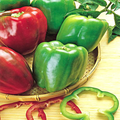 Biosnyg Disease-Resistant Mixed Pepper Mixed Seeds For Gardening-(50 Seeds) Seed(50 per packet)