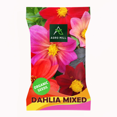 AGRO MILL DAHLIA Seed(20 per packet)