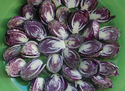 WILLVINE GOI -XIII Brussel Sprouts Seeds Red Ball [50g] Seed(15000 per packet)