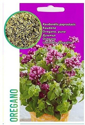 CYBEXIS Imported F1 Hybrid Oregano Seeds2800 Seeds Seed(2800 per packet)