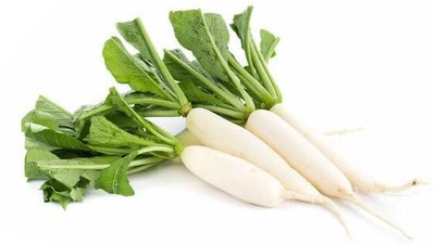 LPR MULI ,WHITE RADISH Seed(20 per packet)