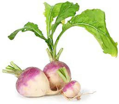 Aywal Turnip Organic F1 Hybrid Seed(3000 per packet)