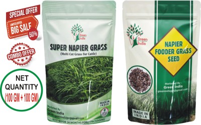 Green India Super Napier Grass Seed(200 g)