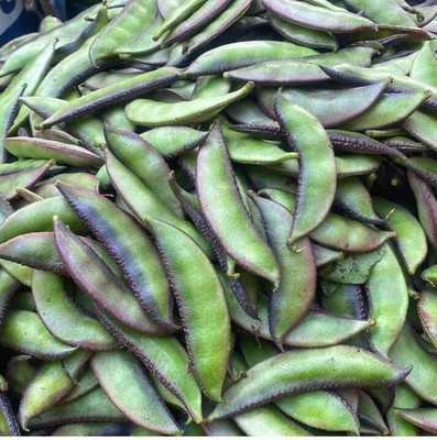 CRGO BEANS Seed(100 per packet)