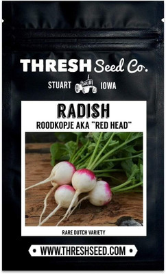 Qualtivate NDIR-632 Read Head Radish Seeds Seed(500 per packet)