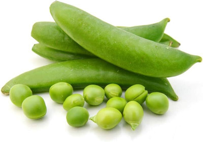 Qualtivate GBPT-6A Sugar Lace II Snap Pea Seeds Seed(200 per packet)